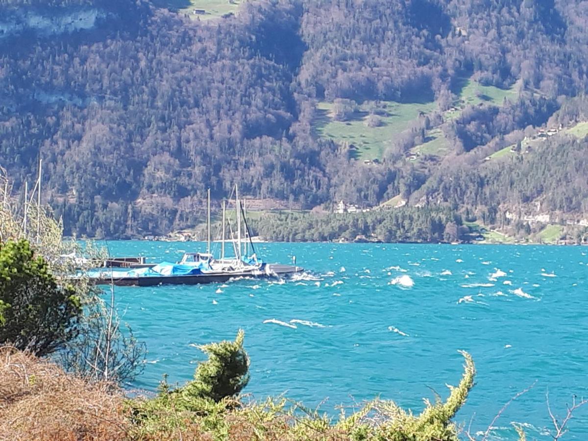 Berner Oberland Am Thunersee *